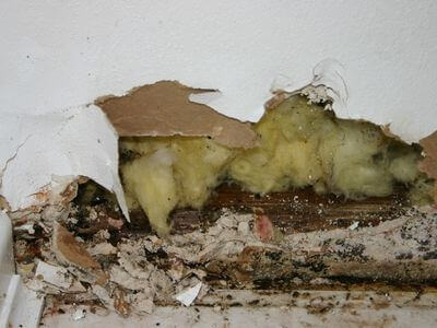 Professional water damage restoration services in Green Valley